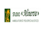 Studio Minerva