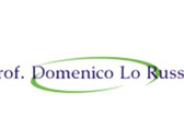 Prof. Domenico Lo Russo