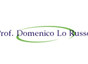 Prof. Domenico Lo Russo