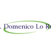 Prof. Domenico Lo Russo
