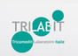 Trilabit