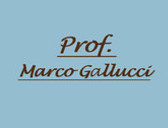 Prof. Marco Gallucci