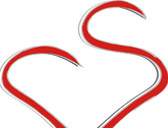 Dott.ssa Stefania Caldarelli