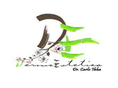 Dott. Carlo Ibba