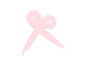 Fiocco Rosa