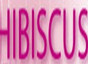 Centro Di Chirurgia Amulatoriale Hibiscus