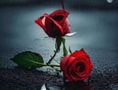 Dott.ssa Federica Flenda