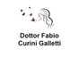 Dottor Fabio Curini Galletti