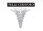 Dr. Mario Ceravolo Pelle