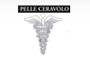 Dr. Mario Ceravolo Pelle