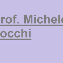 Prof. Michele Zocchi