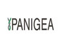 Panigea