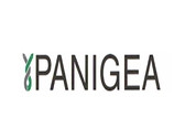 Panigea