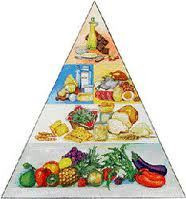 Dieta E Nutrizione Dott.ssa Marianna Di Gennaro