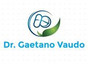 Dr. Gaetano Vaudo