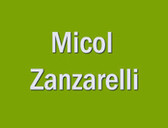 Dott.ssa Micol Zanzarelli
