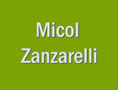 Dott.ssa Micol Zanzarelli