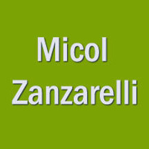 Dott.ssa Micol Zanzarelli