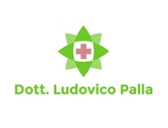 Dott. Ludovico Palla
