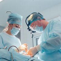 Chirurgia plastica del viso e del collo