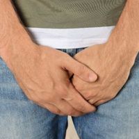 La protesi peniena oggi : sicurezza, risultati e qualita' di vita La protesi peniena oggi : sicurezza, risultati e qualita' di vita