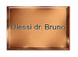Dr Bruno Ulessi