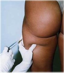 Cima Medica