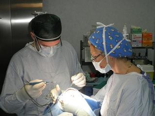 Dott. Marco Viganò