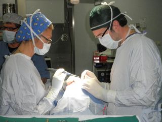 Dott. Marco Viganò
