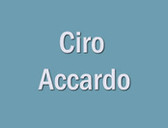 Dr. Ciro Accardo