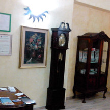 Dott.ssa Katia Camelin Biologa Nutrizionista