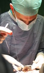 Dr Lapalorcia S.O.