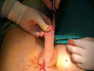 Dott Patrizio Vicini