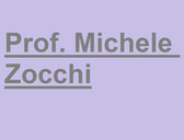 Prof. Michele Zocchi