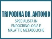Tripodina Dr. Antonio