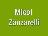 Dott.ssa Micol Zanzarelli