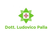 Dott. Ludovico Palla