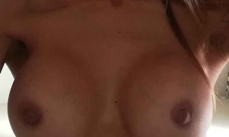 104065