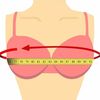 Quanto misura la circonferenza del seno? 