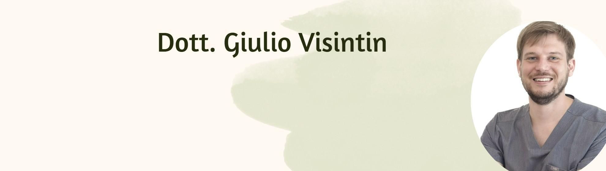 Dott. Giulio Visintin