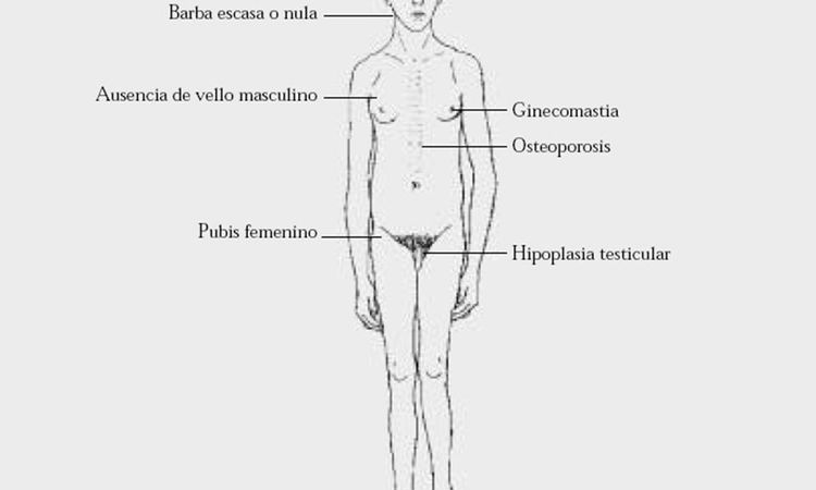 E' possibile accorciare braccia? - 43515