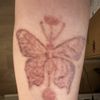 il tatuaggio nero è ancora evidente e la pelle è molto arrossata. Consigli?