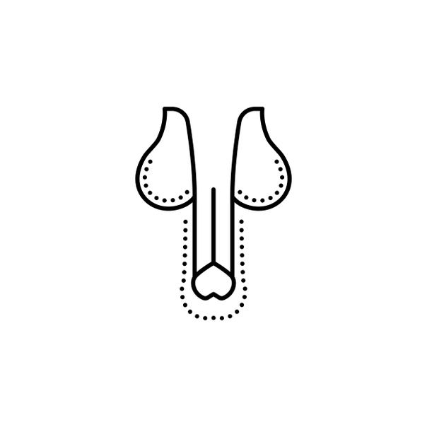 Icona di un pene