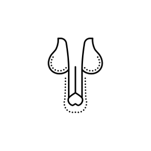 Icona di un pene